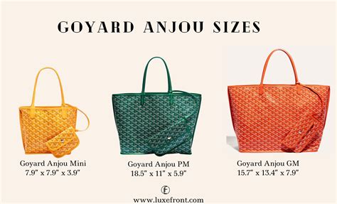 Goyard Anjou Review & Goyard Totes Comparison.